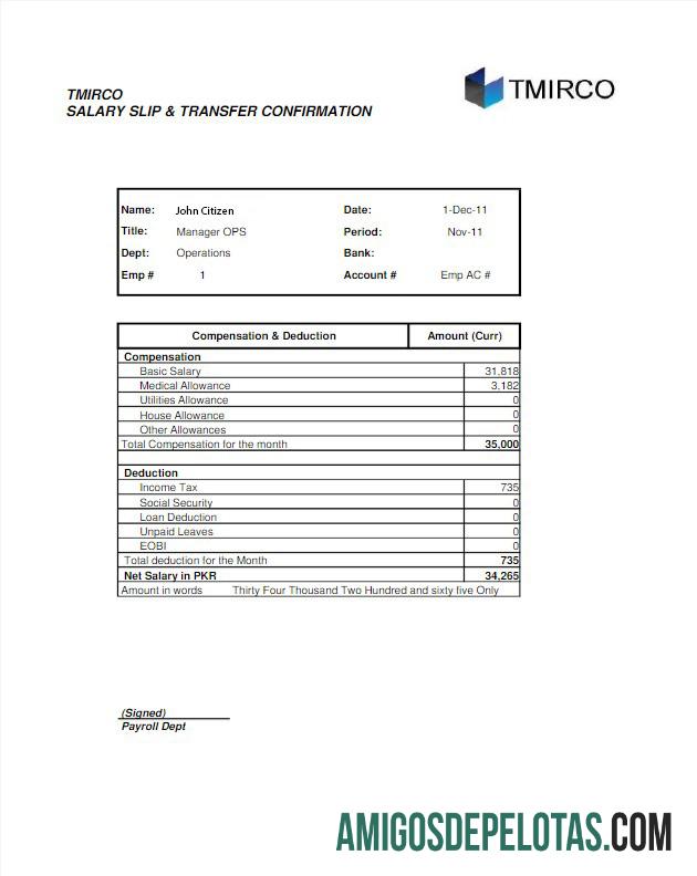 Declaração de ganhos da empresa PAQUISTÃO TMIRCO em formatos Word e PDF modelo